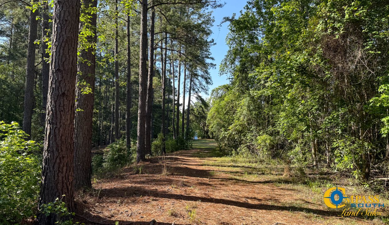 Oakbreeze Farm SC Land for Sale-31
