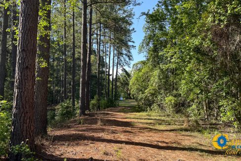 Oakbreeze Farm SC Land for Sale-31
