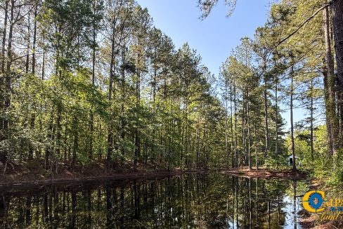 Oakbreeze Farm SC Land for Sale-32
