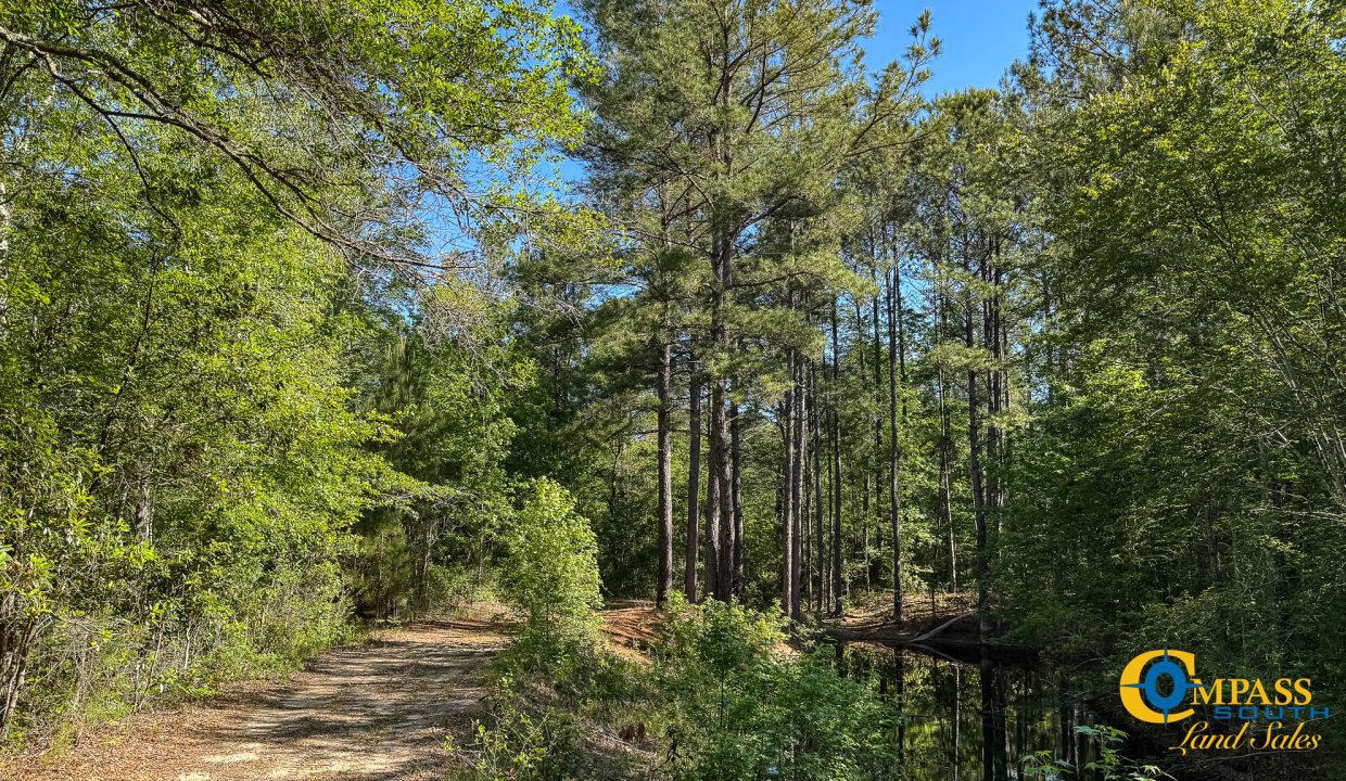 Oakbreeze Farm SC Land for Sale-33
