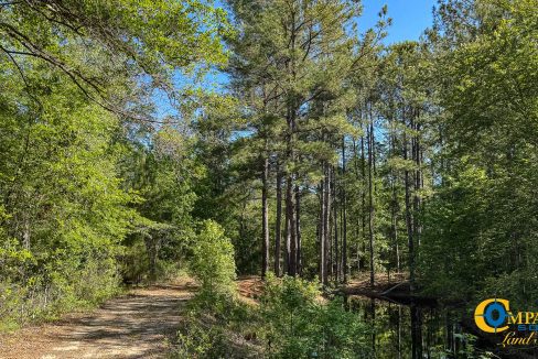 Oakbreeze Farm SC Land for Sale-33
