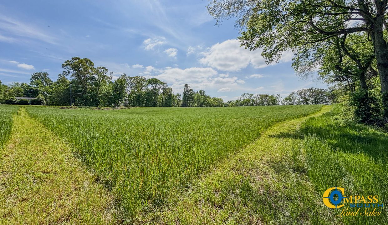 Red River Lot 1 TN Land for Sale-12