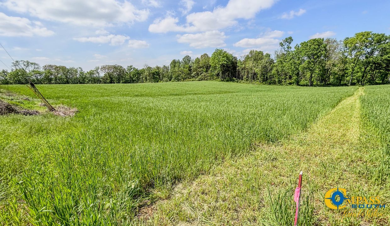 Red River Lot 1 TN Land for Sale-13