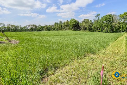 Red River Lot 1 TN Land for Sale-13