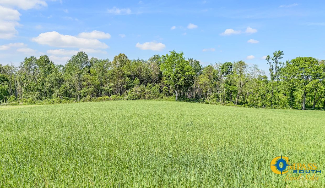 Red River Lot 1 TN Land for Sale-15