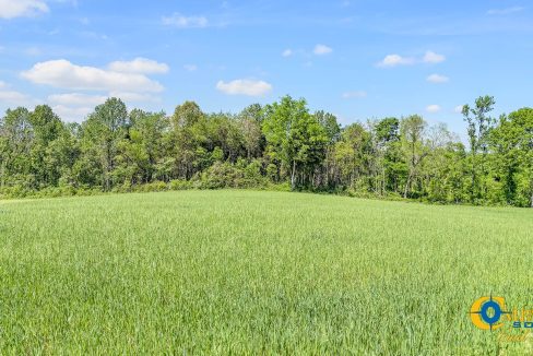 Red River Lot 1 TN Land for Sale-15