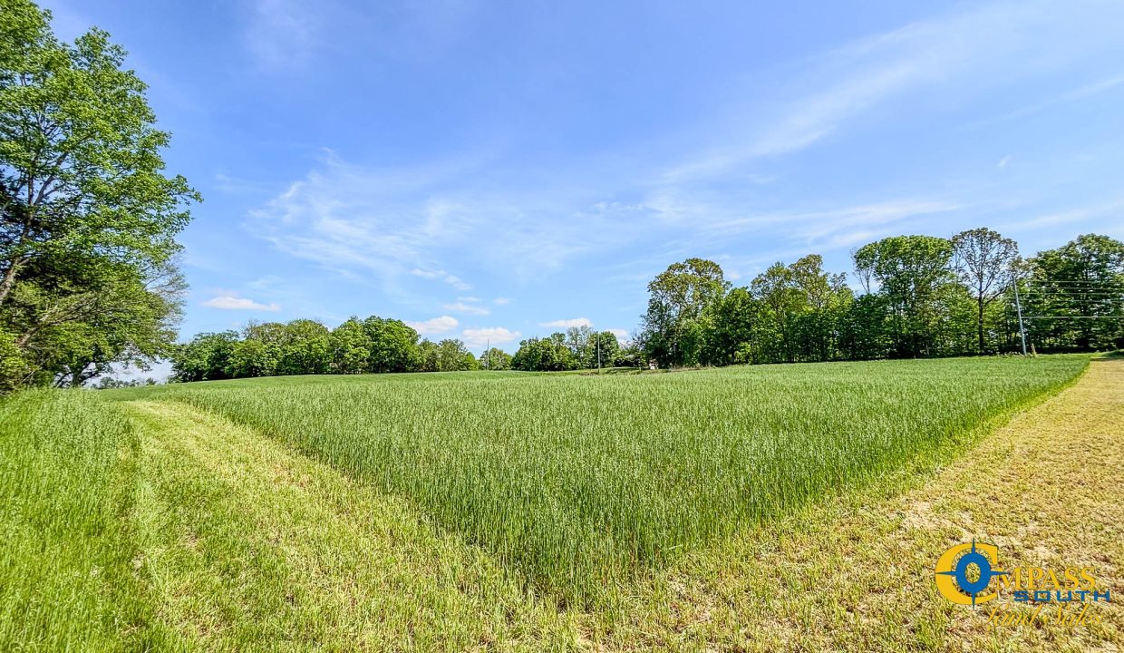 Red River Lot 1 TN Land for Sale-19