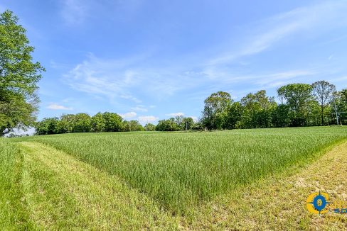 Red River Lot 1 TN Land for Sale-19
