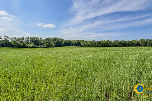 Red River Lot 10 TN Land for Sale-1