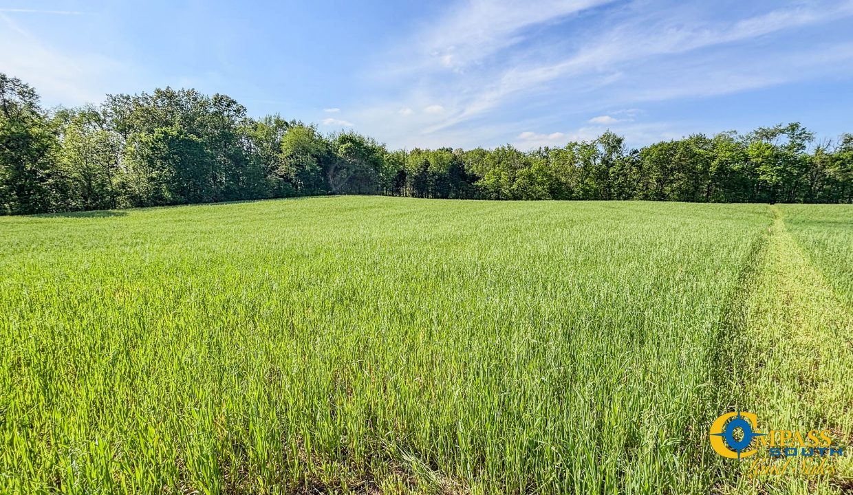 Red River Lot 10 TN Land for Sale-2