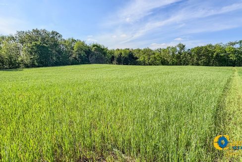 Red River Lot 10 TN Land for Sale-2