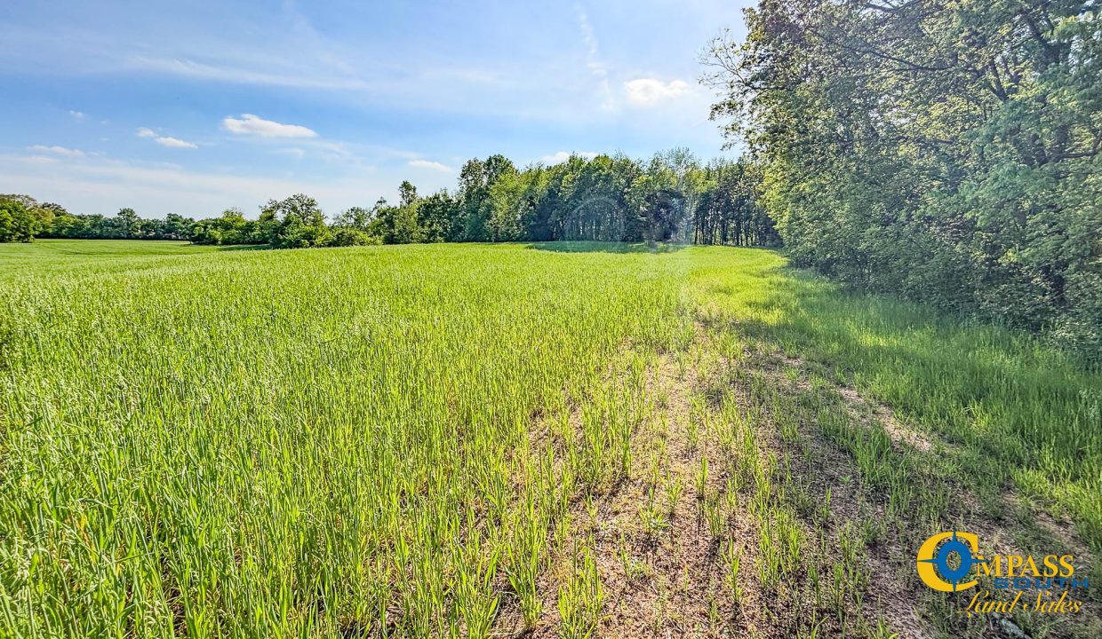 Red River Lot 10 TN Land for Sale-3