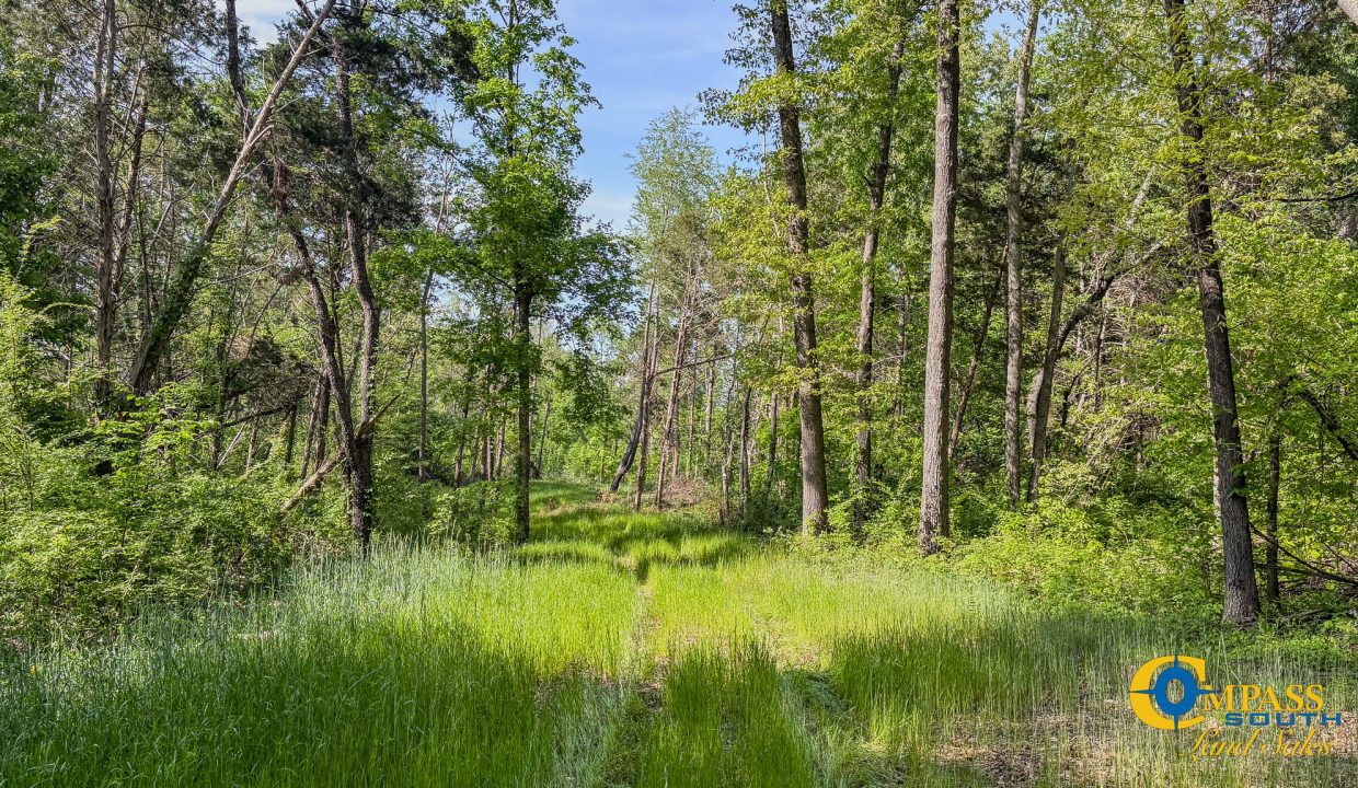 Red River Lot 10 TN Land for Sale-4
