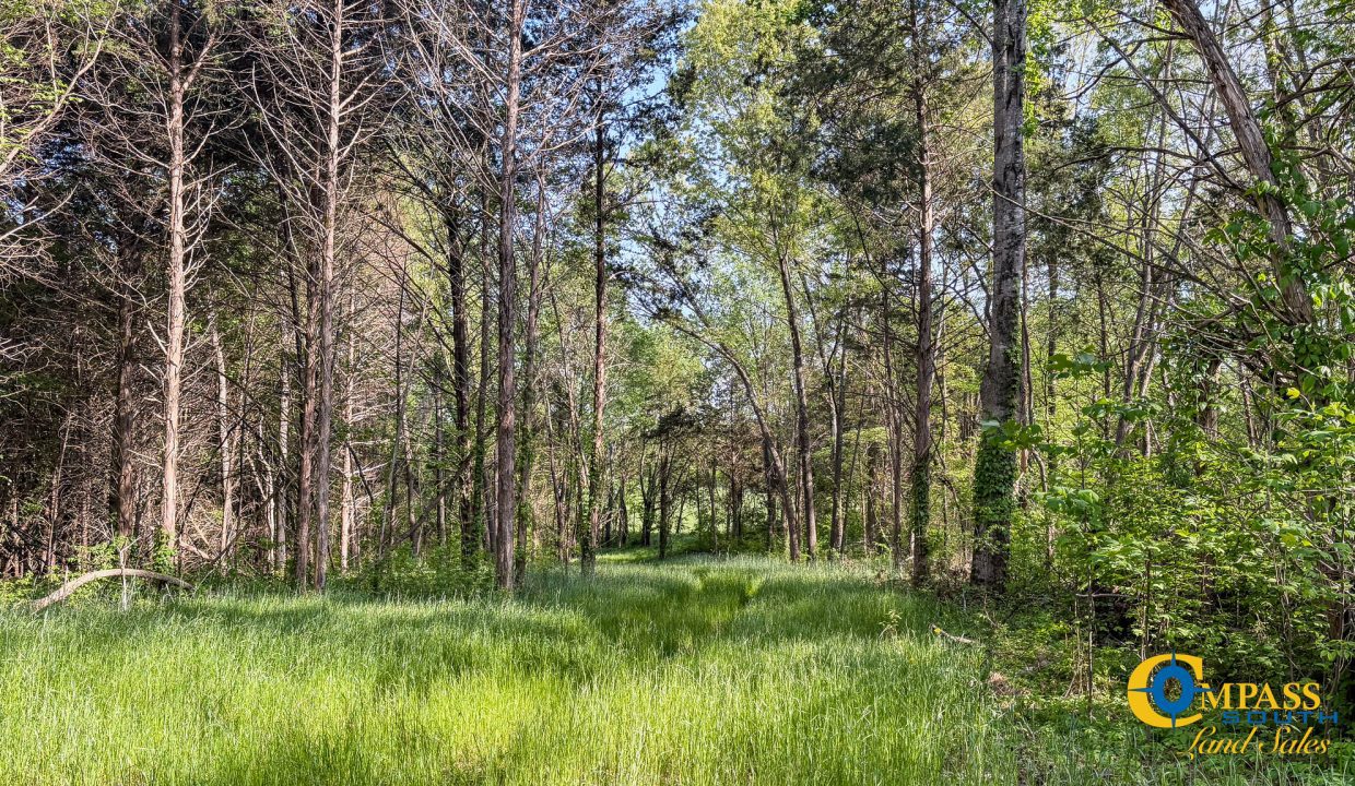 Red River Lot 10 TN Land for Sale-5