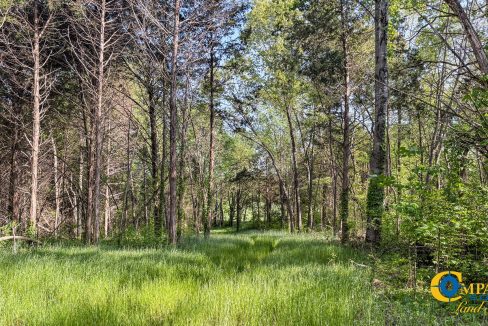 Red River Lot 10 TN Land for Sale-5