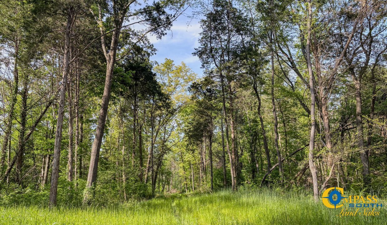 Red River Lot 10 TN Land for Sale-6