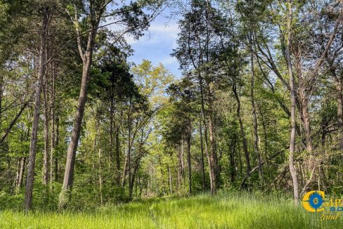 Red River Lot 10 TN Land for Sale-6