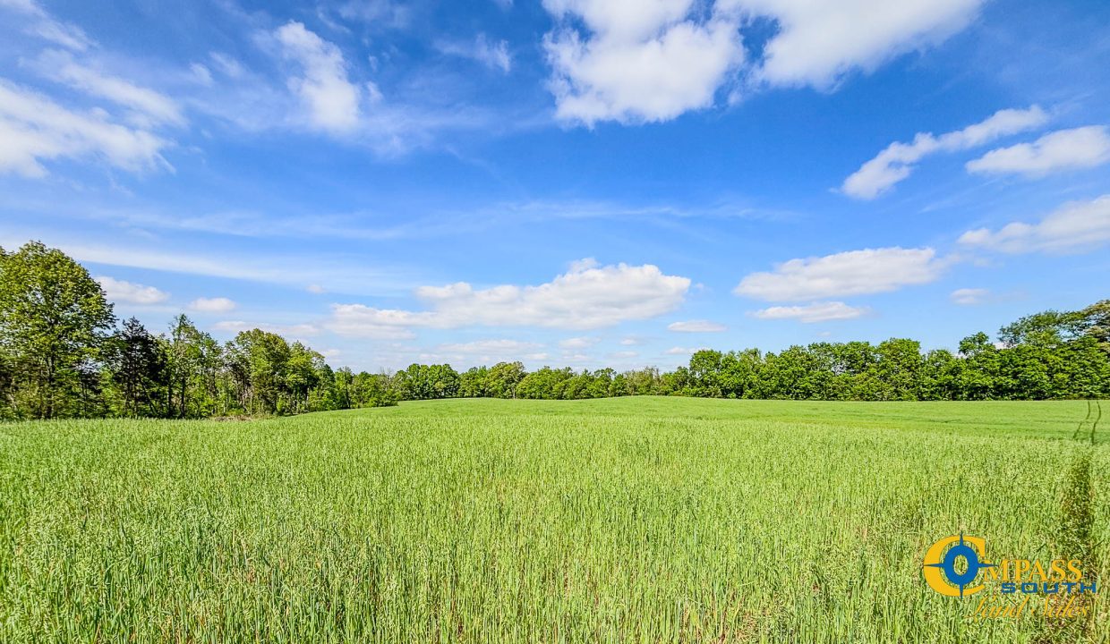 Red River Lot 12 TN Land for Sale-01