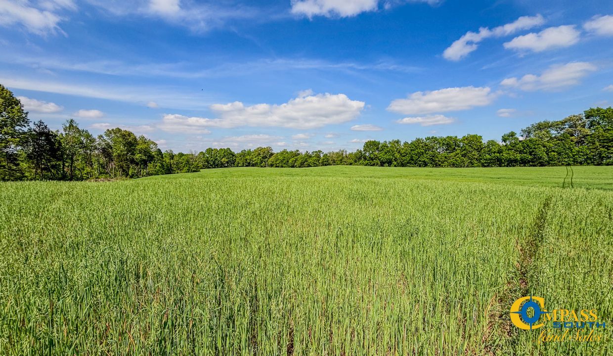 Red River Lot 12 TN Land for Sale-02