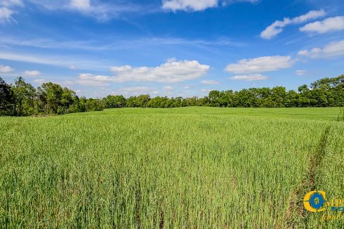 Red River Lot 12 TN Land for Sale-02
