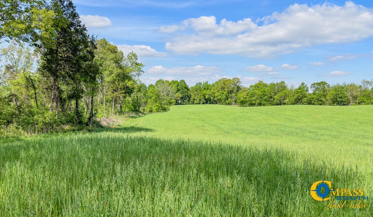 Red River Lot 12 TN Land for Sale-03