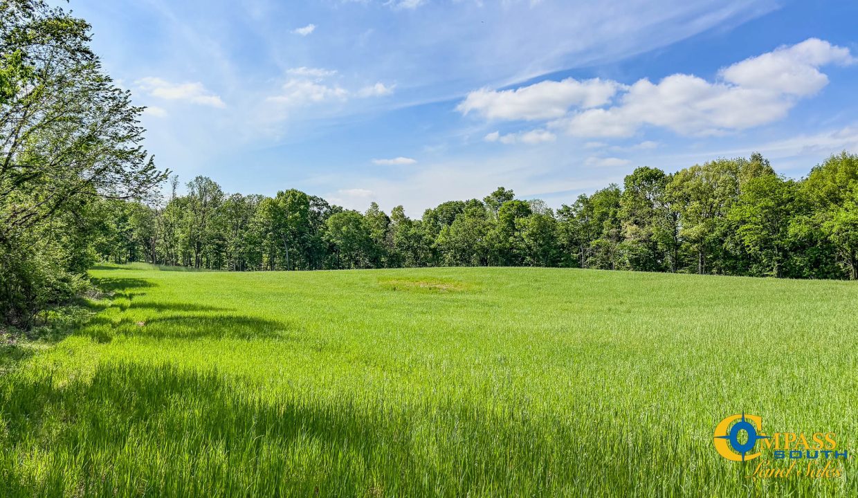 Red River Lot 12 TN Land for Sale-04