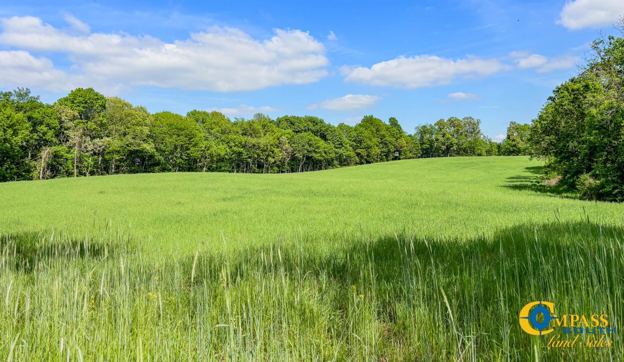 Red River Lot 12 TN Land for Sale-05
