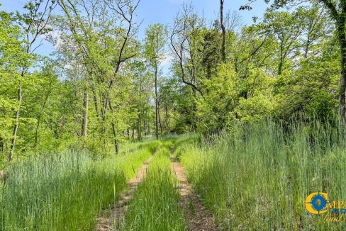 Red River Lot 12 TN Land for Sale-06