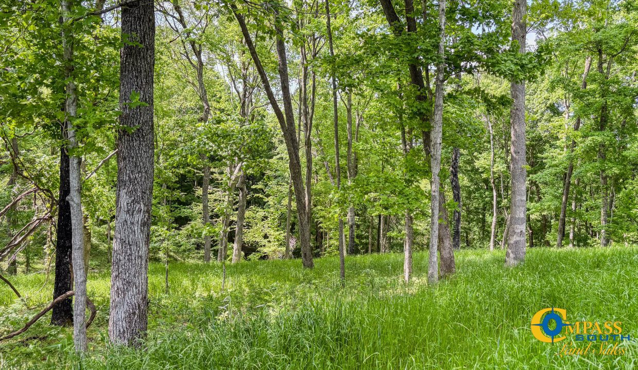 Red River Lot 12 TN Land for Sale-07