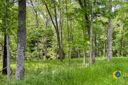 Red River Lot 12 TN Land for Sale-07