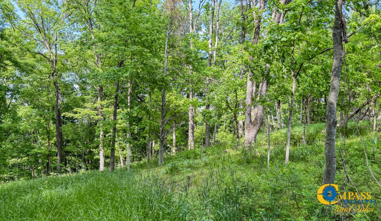 Red River Lot 12 TN Land for Sale-08