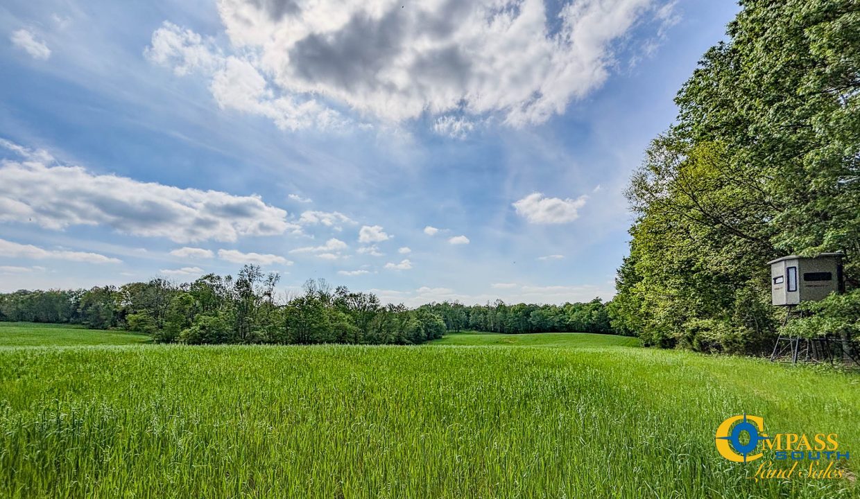 Red River Lot 12 TN Land for Sale-11