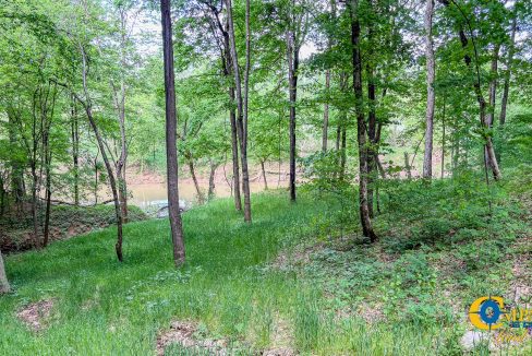 Red River Lot 12 TN Land for Sale-13