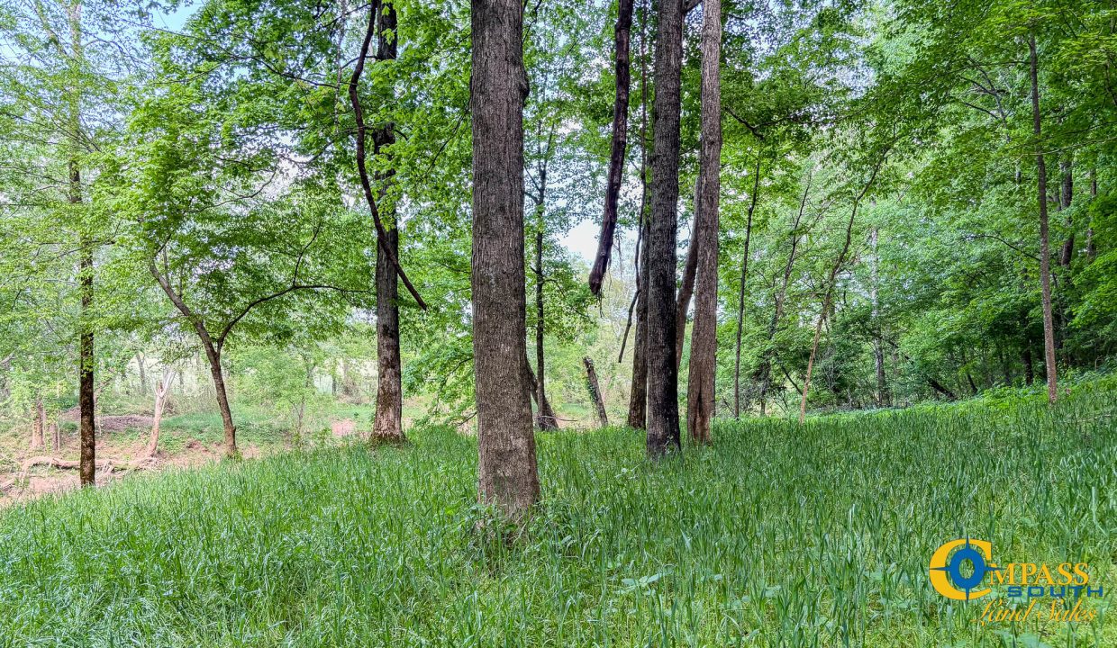 Red River Lot 12 TN Land for Sale-14