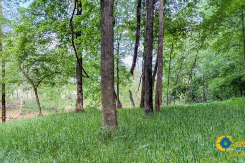 Red River Lot 12 TN Land for Sale-14