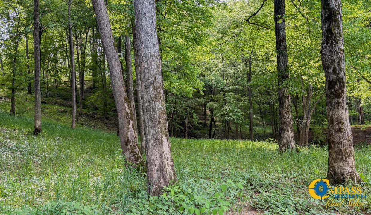 Red River Lot 12 TN Land for Sale-15