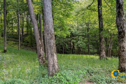 Red River Lot 12 TN Land for Sale-15