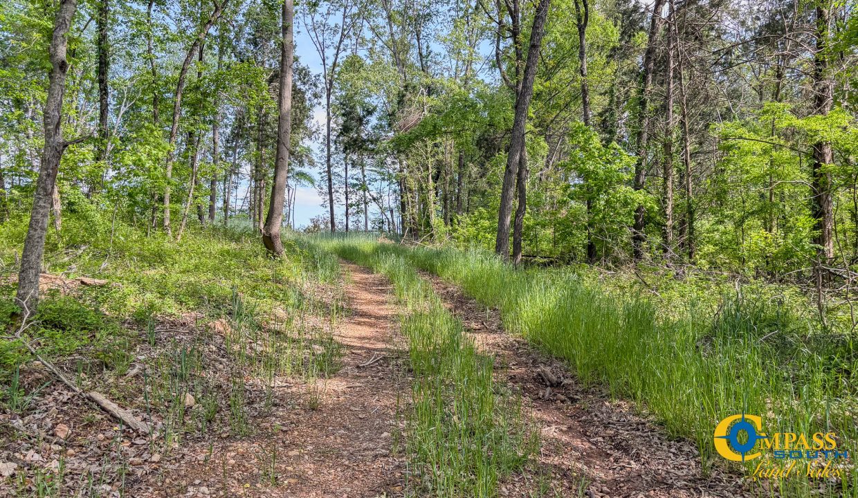Red River Lot 12 TN Land for Sale-19