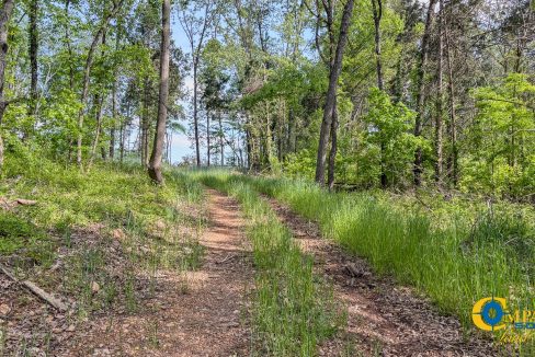 Red River Lot 12 TN Land for Sale-19