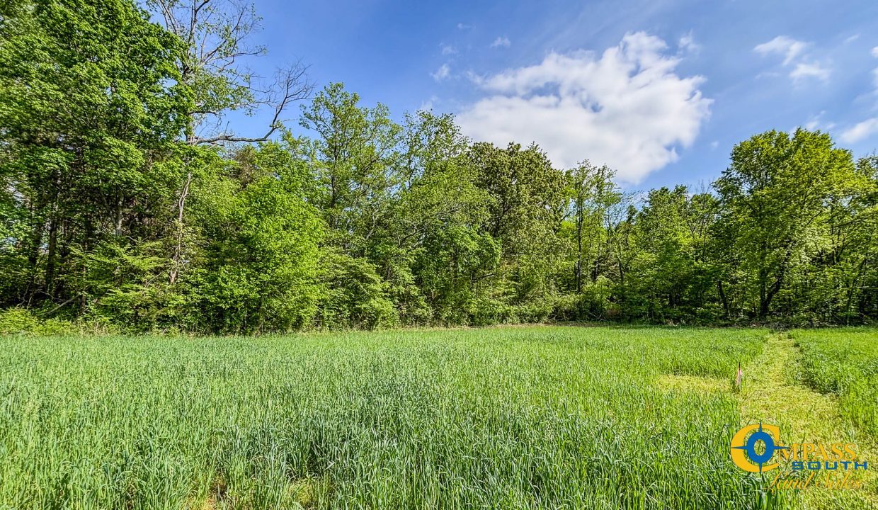 Red River Lot 12 TN Land for Sale-20