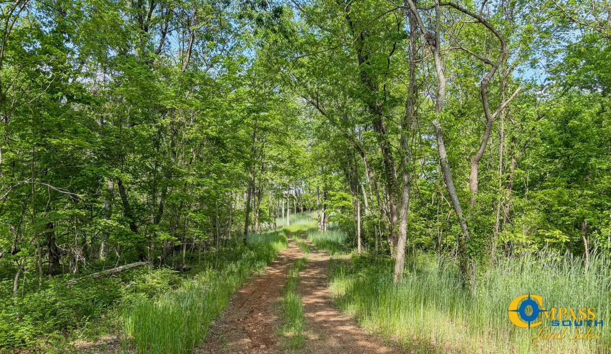 Red River Lot 12 TN Land for Sale-21