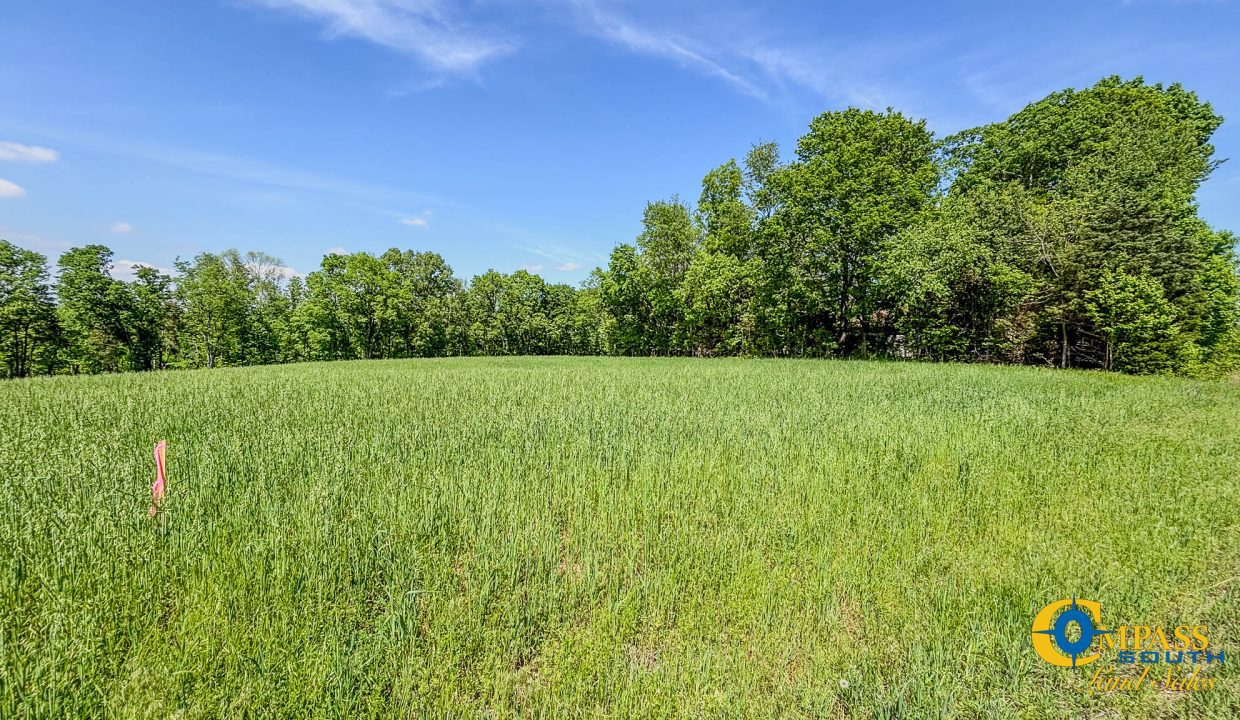 Red River Lot 3 TN Land for Sale-07