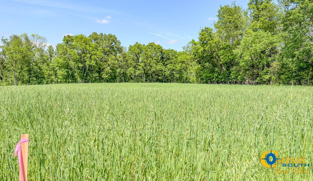 Red River Lot 3 TN Land for Sale-08