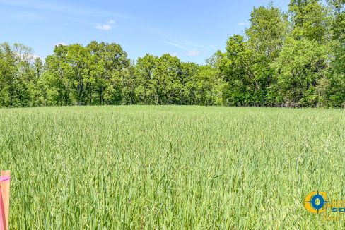 Red River Lot 3 TN Land for Sale-08
