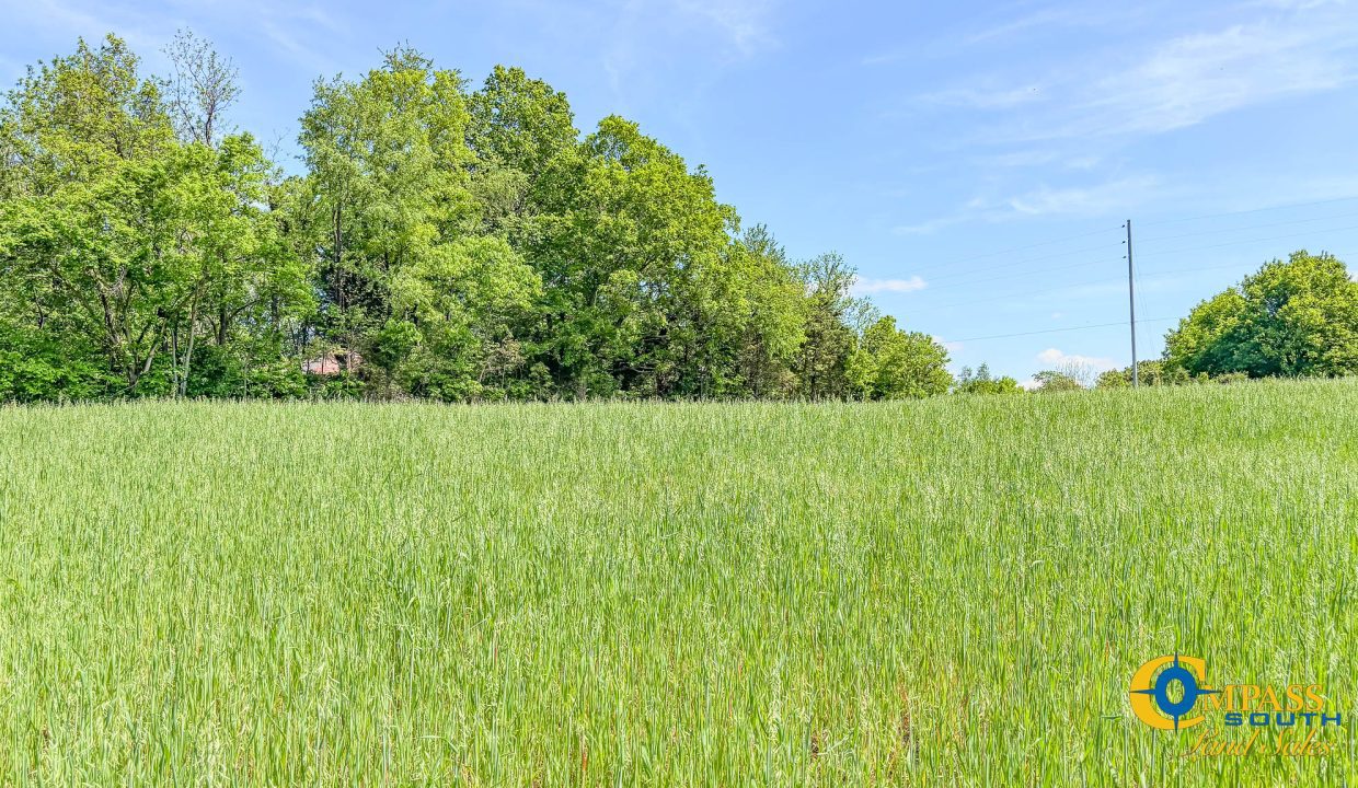 Red River Lot 3 TN Land for Sale-09