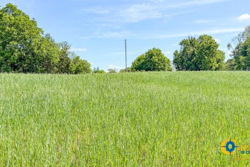 Red River Lot 3 TN Land for Sale-10