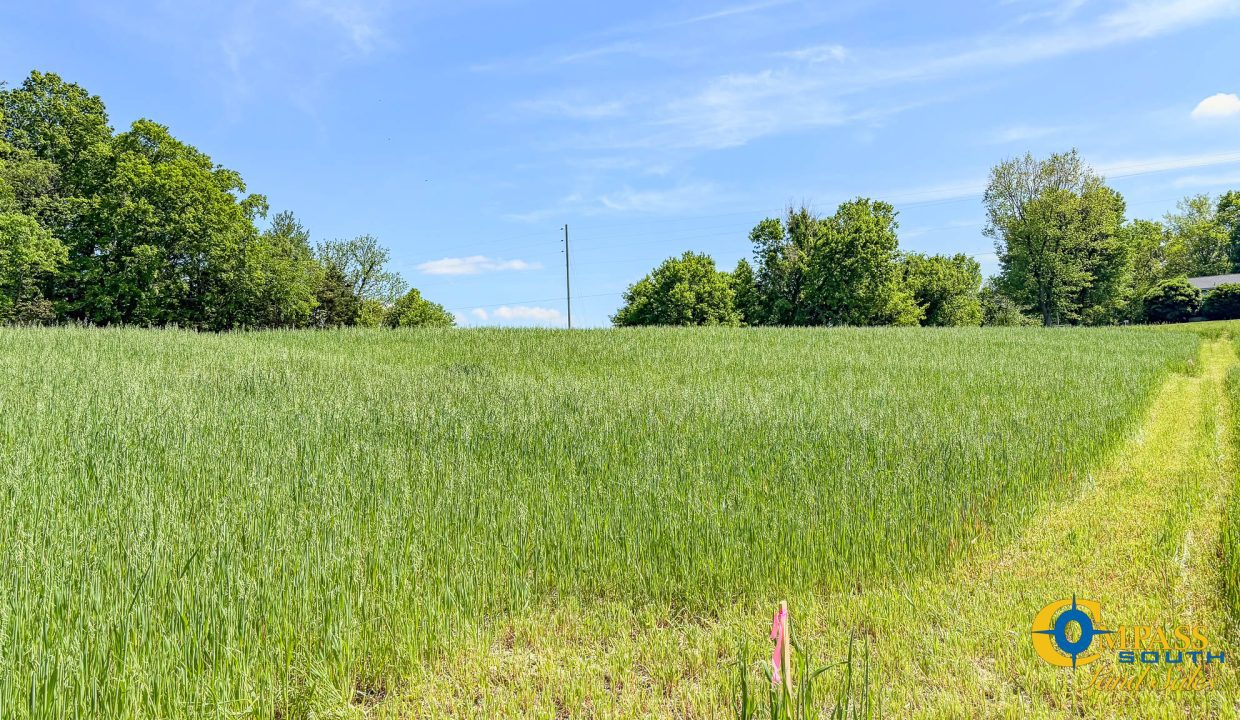 Red River Lot 3 TN Land for Sale-11