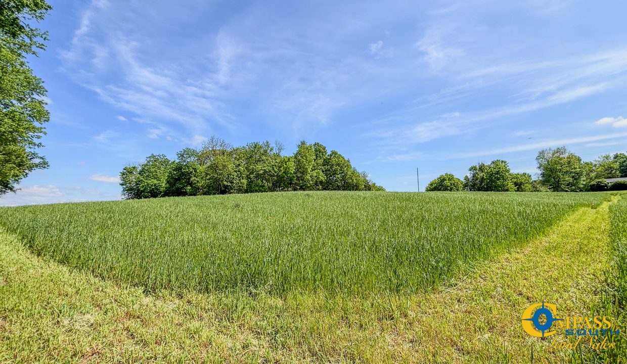 Red River Lot 3 TN Land for Sale-12