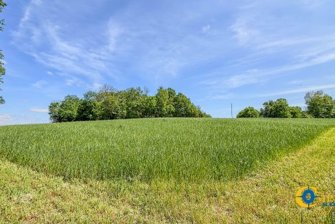 Red River Lot 3 TN Land for Sale-12