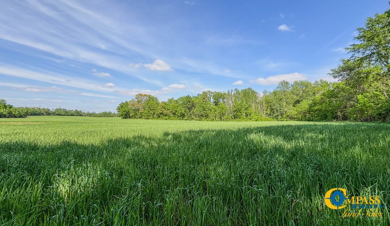 Red River Ridge 6 TN Land for Sale-4